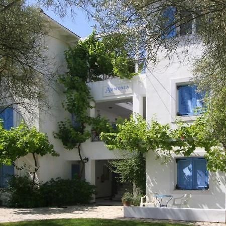 Armonia Apartments Vasiliki  Exterior photo