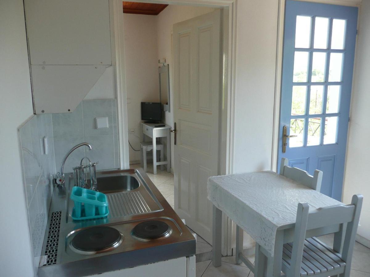 Armonia Apartments Vasiliki  Room photo